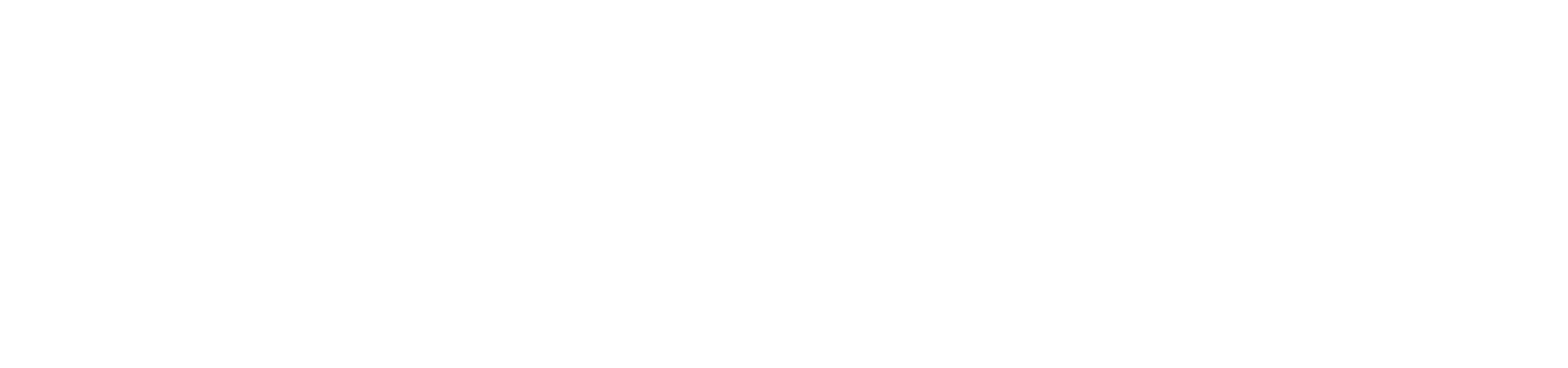 NetSourceOne Horizontal Logo White